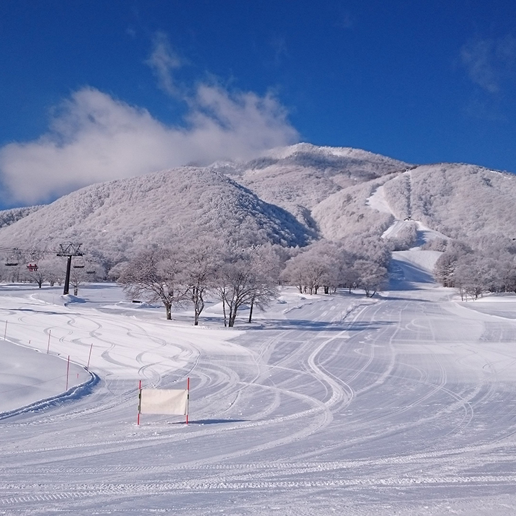 #滑雪